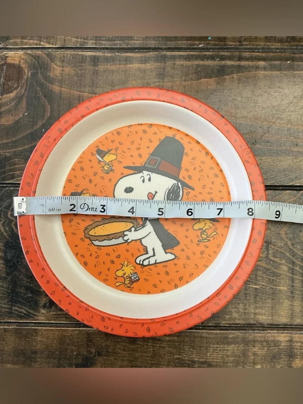 Peanuts Snoopy and Woodstock Thanksgiving Kids Dinner Plate
